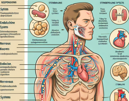 Cómo reacciona el cuerpo al suspender Stenbolone bruscamente