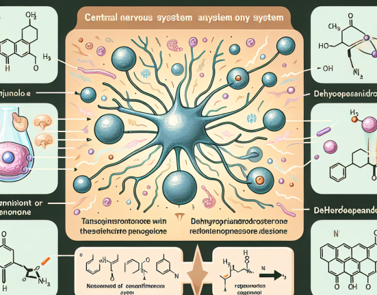 Cómo responde el sistema nervioso central a Dehydroepiandrosteron